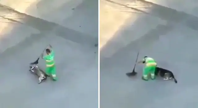 El perrito se recostó para recibir las caricias del trabajador de limpieza. El perrito se recostó para recibir las caricias del trabajador de limpieza.