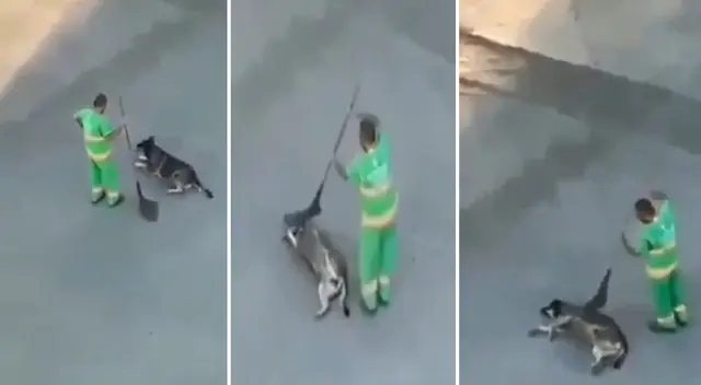 El perrito se recostó para recibir las caricias del trabajador de limpieza. El perrito se recostó para recibir las caricias del trabajador de limpieza.