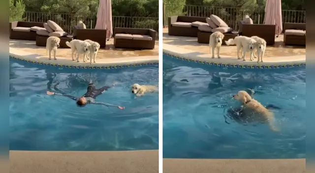 El clip cuenta con miles de reproducciones en TikTok. El clip cuenta con miles de reproducciones en TikTok.