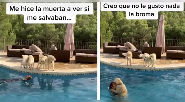 El hecho causó las carcajadas de miles de usuarios en las redes sociales. El hecho causó las carcajadas de miles de usuarios en las redes sociales.