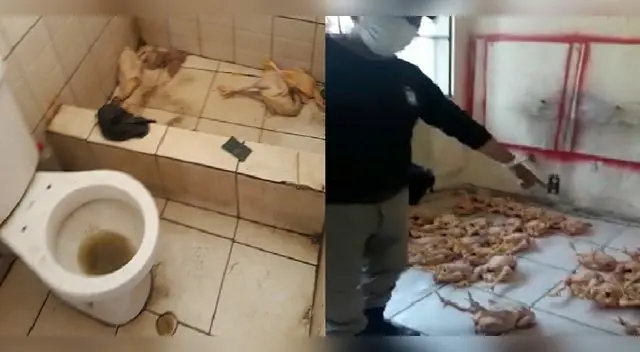 Fiscalizadores encontraron pollos en mal estado