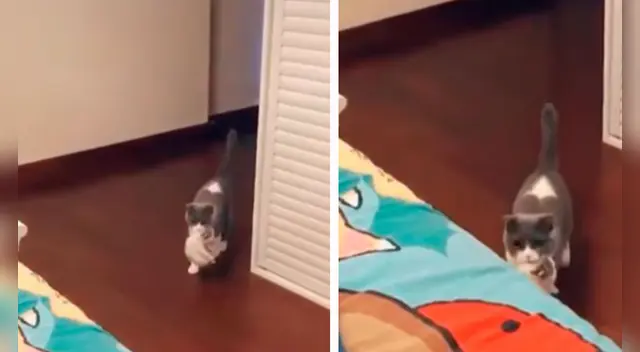 El clip cuenta con miles de reproducciones en Facebook. El clip cuenta con miles de reproducciones en Facebook.