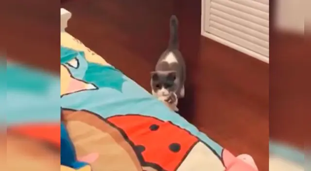 La emotiva escena se ha robado el corazón de miles de usuarios en las redes sociales. La emotiva escena se ha robado el corazón de miles de usuarios en las redes sociales.