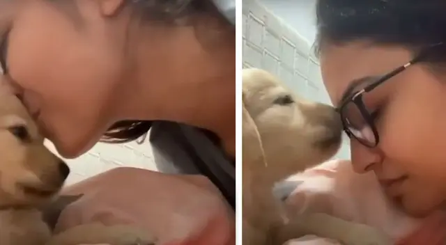 Cachorro demuestra todo el amor que le tiene a su dueña con unos tiernos besos Cachorro demuestra todo el amor que le tiene a su dueña con unos tiernos besos