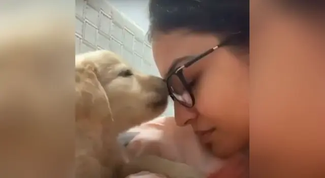 Cachorro demuestra todo el amor que le tiene a su dueña con unos tiernos besos Cachorro demuestra todo el amor que le tiene a su dueña con unos tiernos besos