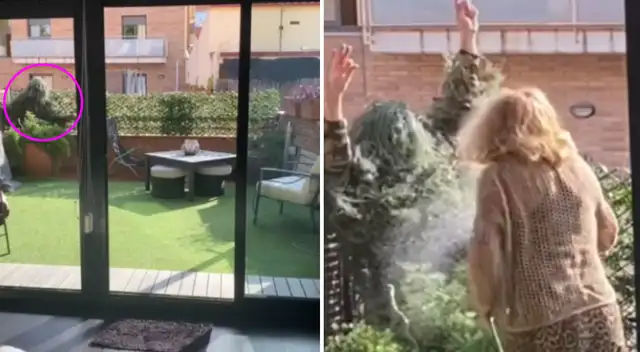 El joven aprovechó la rutina de su mamá y se escondió entre sus plantas. El joven aprovechó la rutina de su mamá y se escondió entre sus plantas.