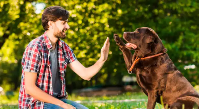 Este nuevo reto visual pone a prueba la percepción de los usuarios de las redes sociales. Solo 3 personas de cada 10 han logrado resolverlo.