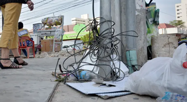 Perro muere debido a cables caídos en la calle Perro muere debido a cables caídos en la calle
