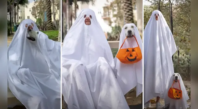 La tierna escena cautivó a los usuarios en las redes sociales.