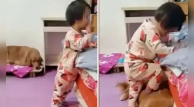 La tierna escena cautivó a los usuarios en las redes sociales.