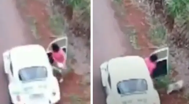 Perrita es abandonada en la carretera Perrita es abandonada en la carretera