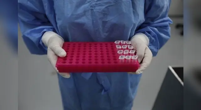 La ministra Pilar Mazetti asegura que se ha realizado un millón de pruebas moleculares para descartar el Covid-19. La ministra Pilar Mazetti asegura que se ha realizado un millón de pruebas moleculares para descartar el Covid-19.