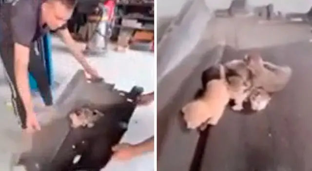 Hombres escuchan un sonido extraño dentro de un auto Hombres escuchan un sonido extraño dentro de un auto