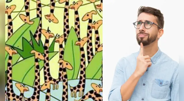 Pocos han podido dar con la respuesta correcta de este desafío viral. Pocos han podido dar con la respuesta correcta de este desafío viral.