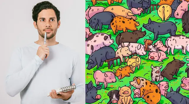 ¿Puedes ver al hipopótamo escondido entre los cerdos?