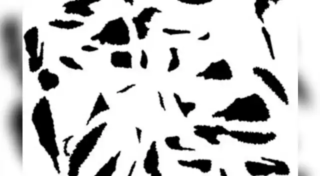 Tienes pocos segundos para dar con la respuesta. Tienes pocos segundos para dar con la respuesta.