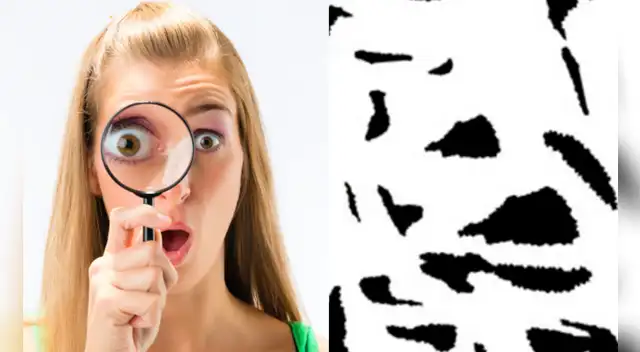 El challengue de Facebook ha causado sensación en las redes sociales. El challengue de Facebook ha causado sensación en las redes sociales.