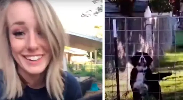 Adorable perrito no reconoce a su dueña luego de que se hiciera un cambio de look Adorable perrito no reconoce a su dueña luego de que se hiciera un cambio de look