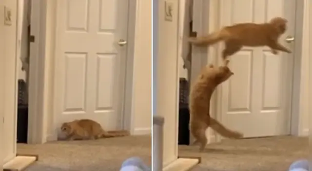 El clip cuenta con miles de reproducciones en YouTube. El clip cuenta con miles de reproducciones en YouTube.