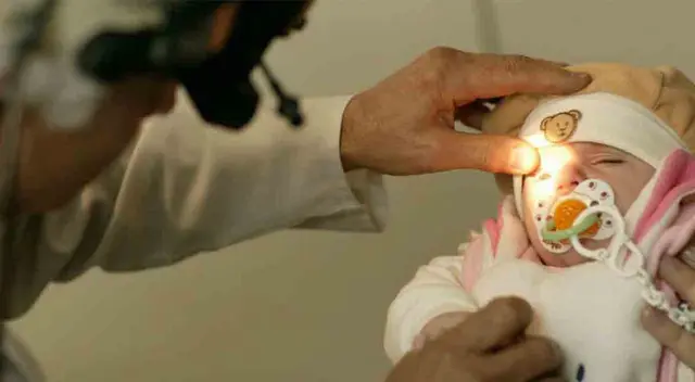 Imagen referencial. Imagen referencial.