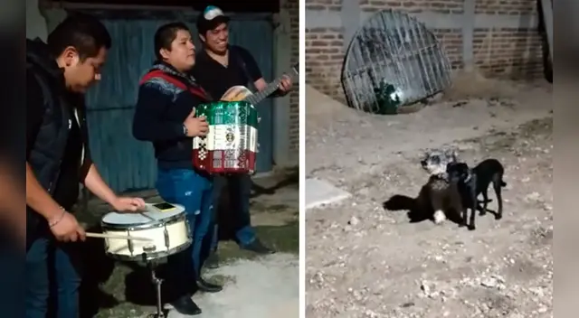 El clip cuenta con miles de reproducciones en Facebook. El clip cuenta con miles de reproducciones en Facebook.