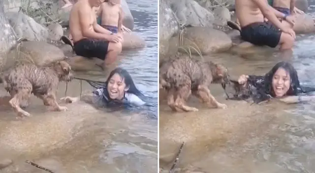 El perrito corrió a socorrer a su dueña.