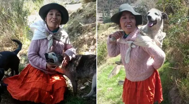 El perrito acompaña todos los días a su dueña. El perrito acompaña todos los días a su dueña.