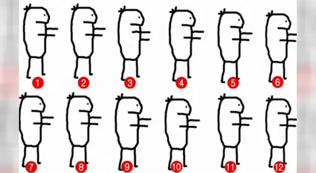 El reto que pone a prueba tu destreza visual El reto que pone a prueba tu destreza visual