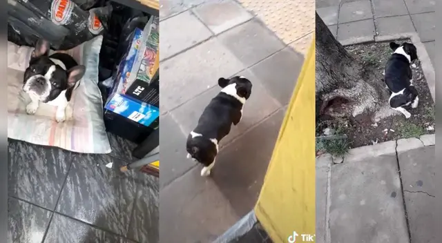 La escena causó la risa de varios usuarios en las redes sociales.