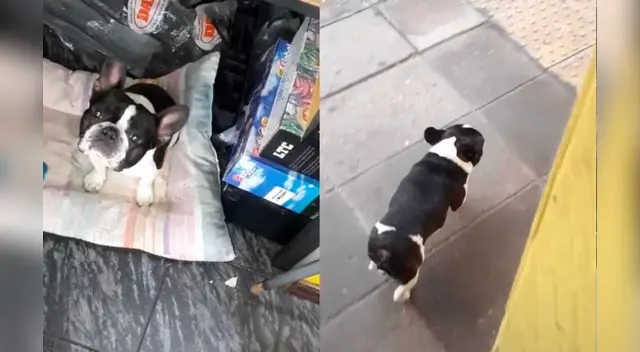 El clip cuenta con miles de reproducciones en TikTok.