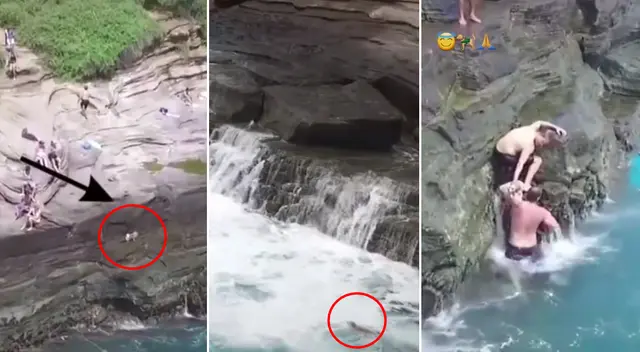 La ola gigante golpeó al perrito y lo lanzó al mar. La ola gigante golpeó al perrito y lo lanzó al mar.