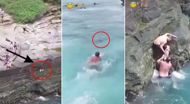 El perrito fue arrastrado por una ola gigante, sin embargo, su dueño lo socorrió. El perrito fue arrastrado por una ola gigante, sin embargo, su dueño lo socorrió.