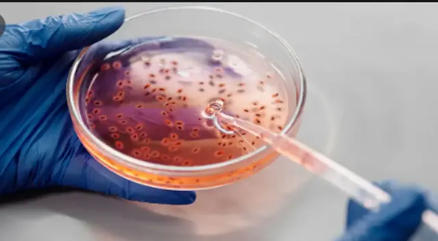 El Gobierno está intensificando campañas de vacunación ante nuevos casos de difteria.