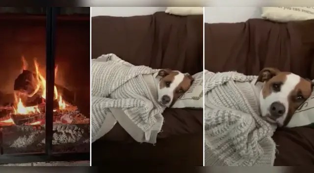 El clip cuenta con miles de reproducciones en YouTube.