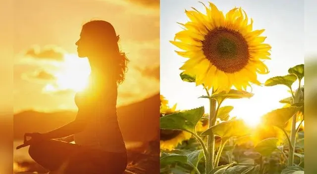 La luz natural es producida por la naturaleza. La luz natural es producida por la naturaleza.