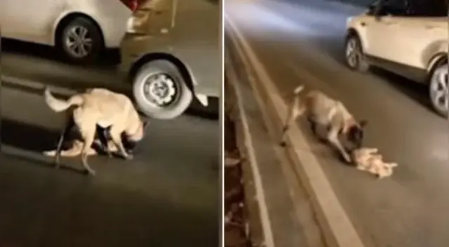 El clip cuenta con miles de reproducciones en YouTube.