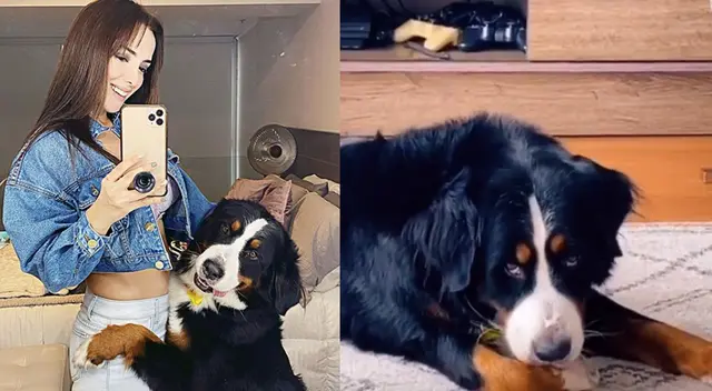 Rosángela Espinoza lloró al devolver perrita a su expareja: “Mi Bianca, te extrañaré”