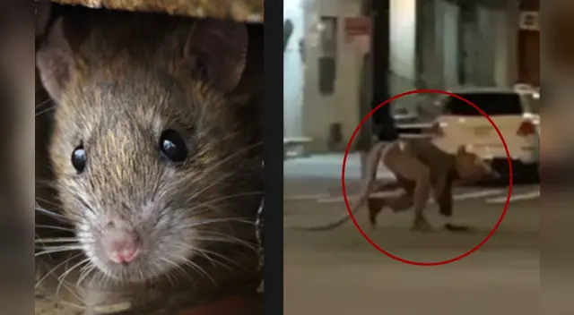 El clip cuenta con millones de reproducciones en YouTube.