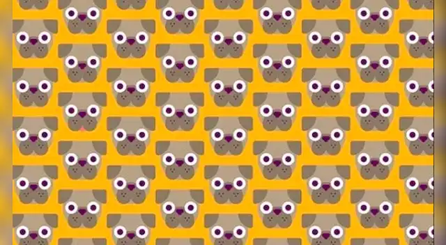 Tienes pocos segundos para dar con la respuesta.