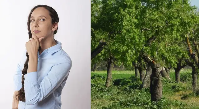 Reto visual: encuentra el puput oculto en la imagen. Reto visual: encuentra el puput oculto en la imagen.