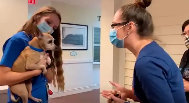 El tierno reencuentro entre una familia y su perro
