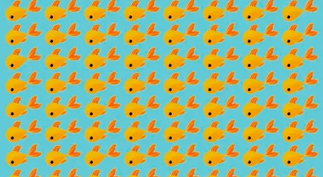 ¿Puedes encontrar a los cinco peces que son diferentes?