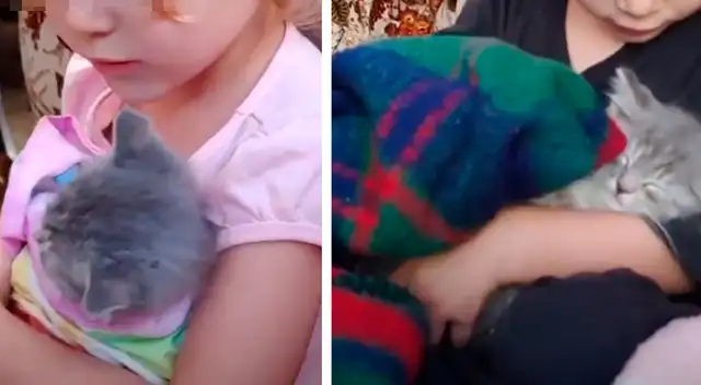 Tierna niña le canta a un gatito para que pueda dormir