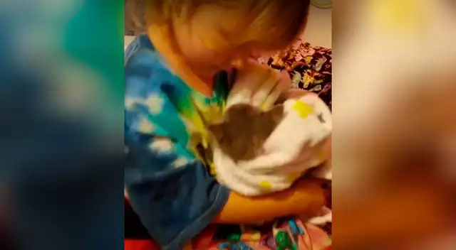 Tierna niña le canta a un gatito para que pueda dormir