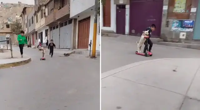 El perrito fue grabado jugando junto a sus pequeños dueños.