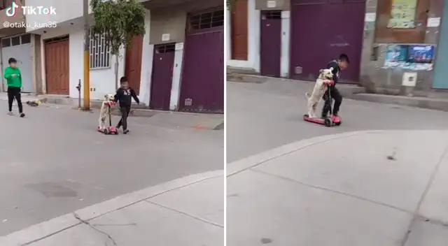 El perrito fue grabado jugando junto a sus pequeños dueños.