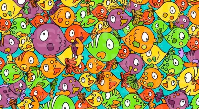 Reto viral: encuentra la gallina escondida en la imagen. Reto viral: encuentra la gallina escondida en la imagen.