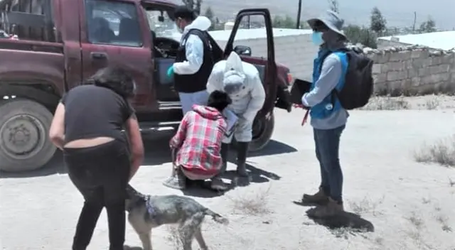 Reportan nuevos casos de rabia canina en Arequipa. Reportan nuevos casos de rabia canina en Arequipa.