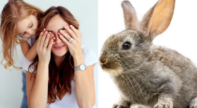 La mamá sigue a su hija hasta una de las habitaciones de la casa donde el supuesto animal estaba, pero de lejos no se visualizó a un tierno animal, sino a una rata.