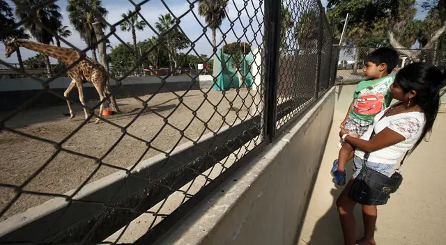 Centros recreativos.